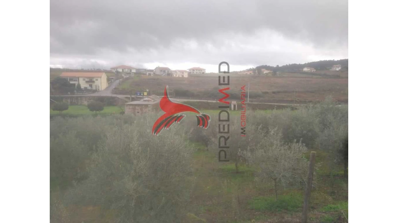 Terreno para Venda em Fontelo Foto 14