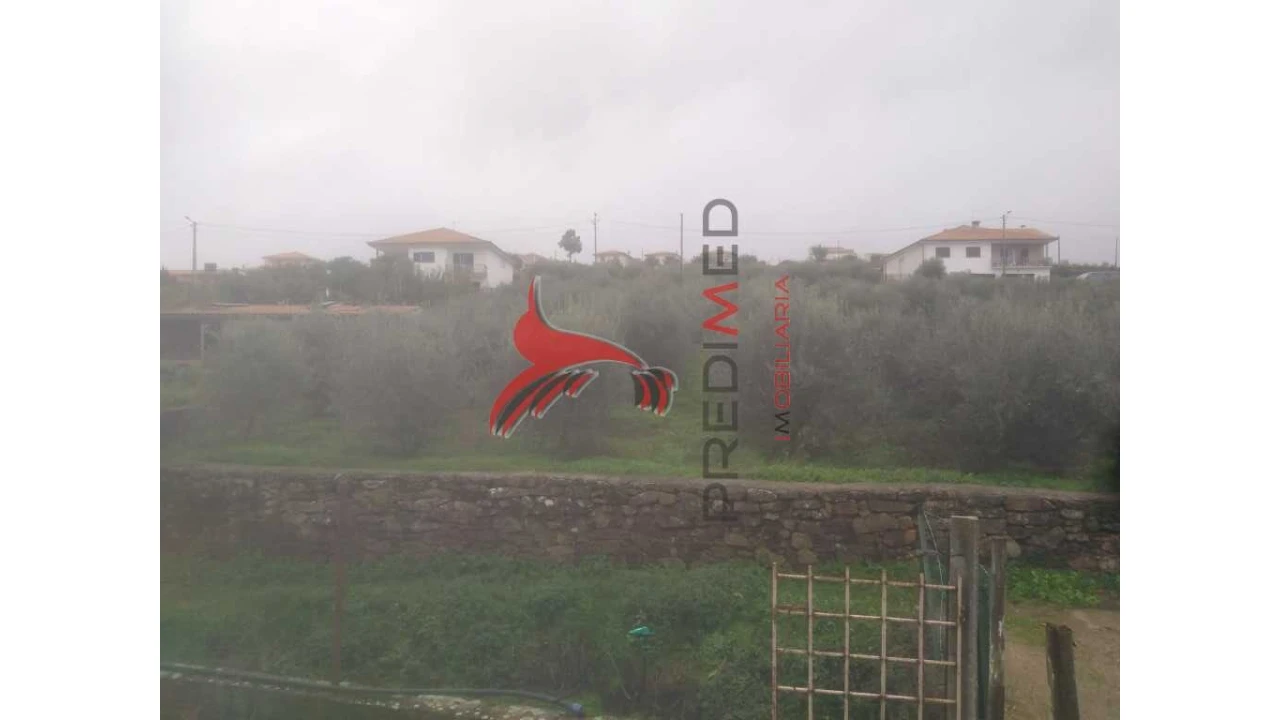 Terreno para Venda em Fontelo Foto 1