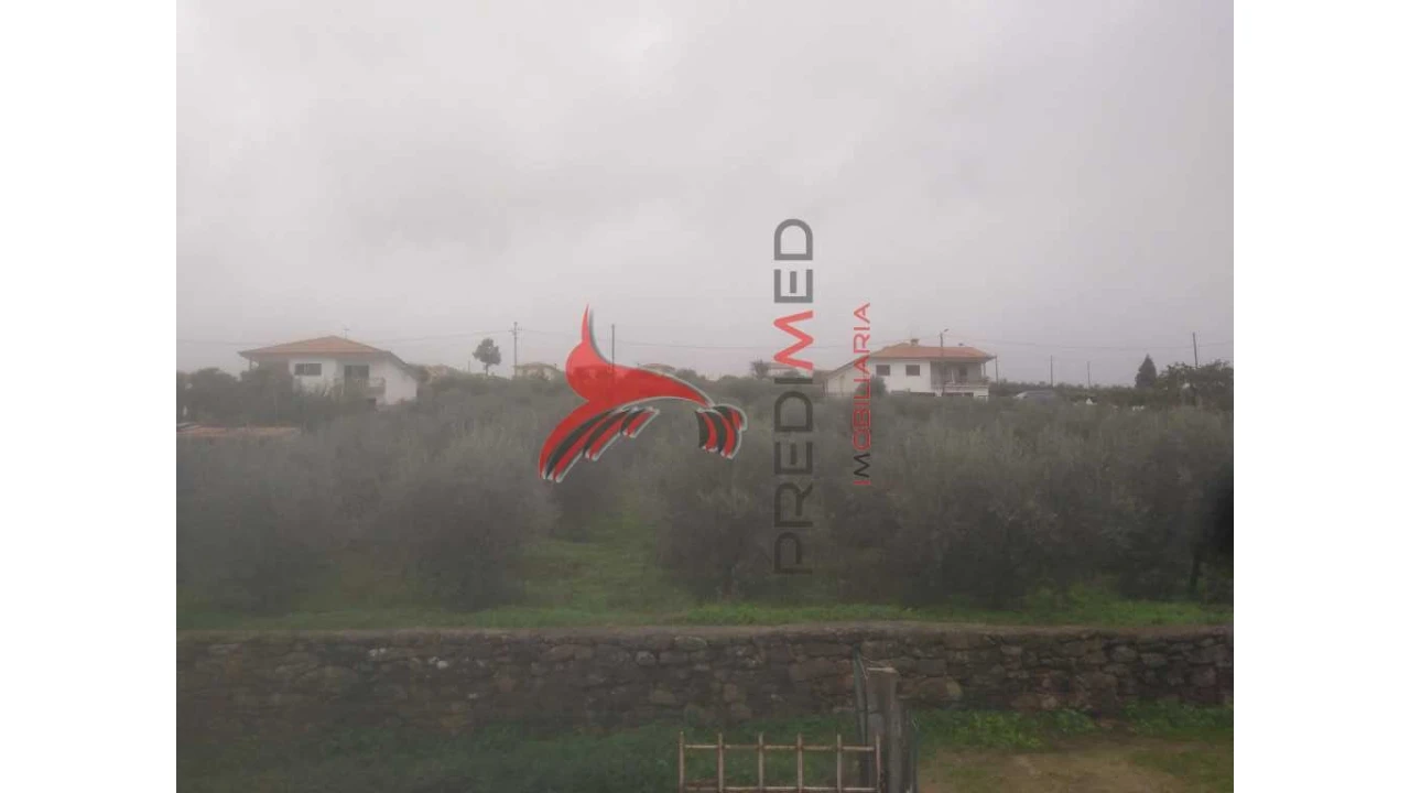 Terreno para Venda em Fontelo Foto 3