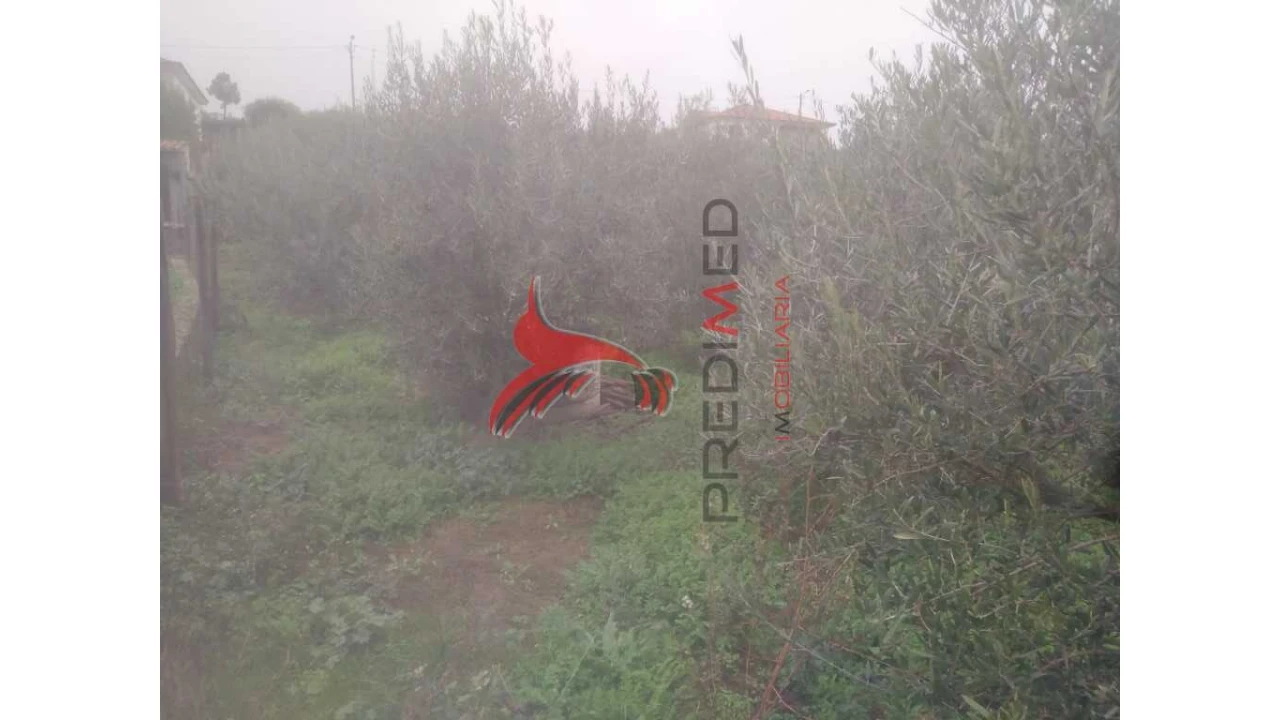 Terreno para Venda em Fontelo Foto 17