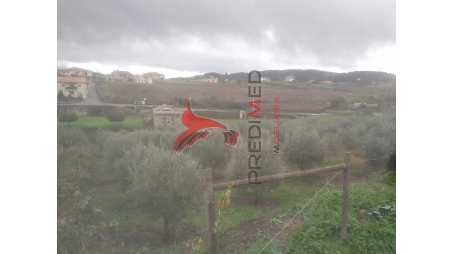 Terreno para Venda em Fontelo Foto 9