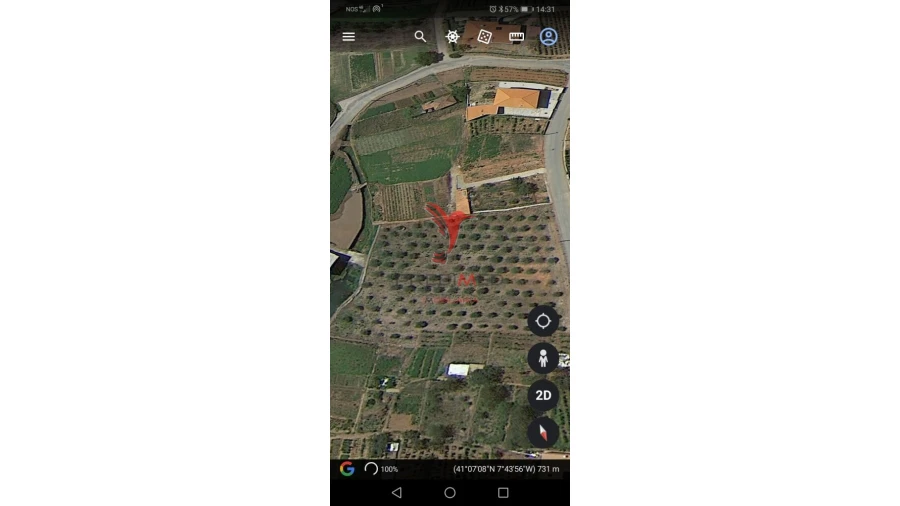 Terreno para Venda em Fontelo Foto 14