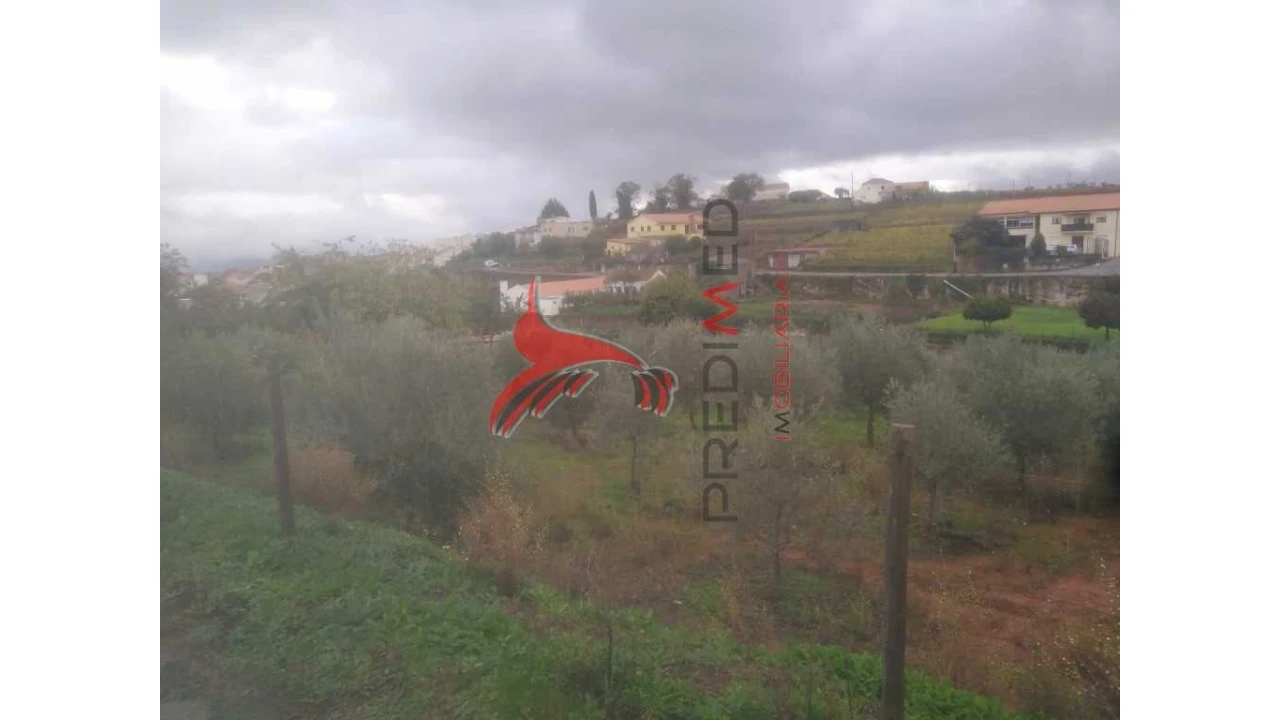 Terreno para Venda em Fontelo Foto 12