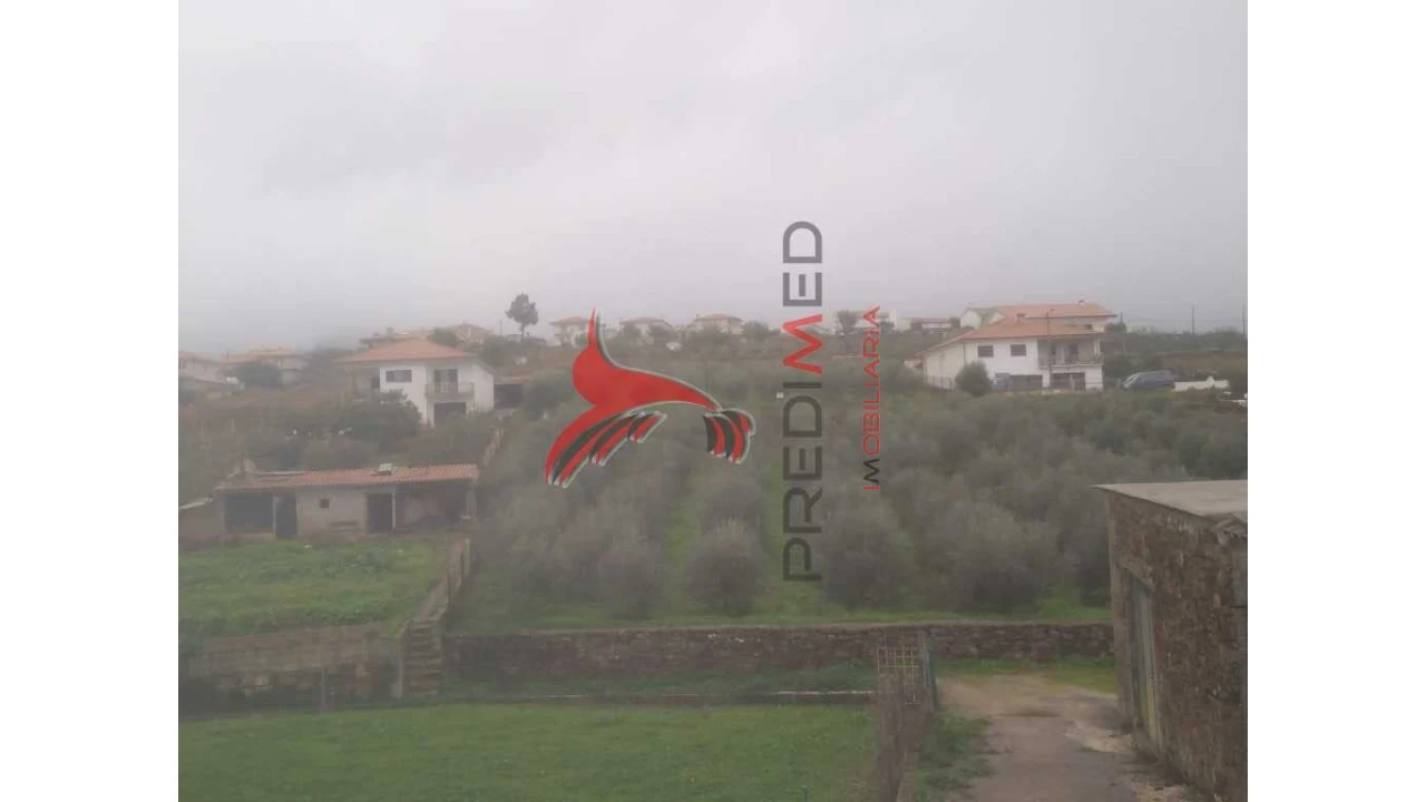 Terreno para Venda em Fontelo Foto 5