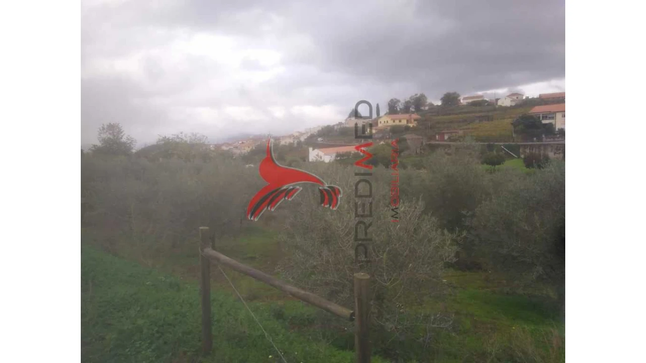 Terreno para Venda em Fontelo Foto 15