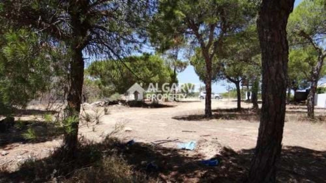 Terreno para Venda em Almancil Foto 3