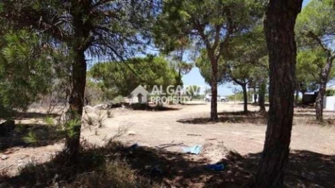 Terreno para Venda em Almancil