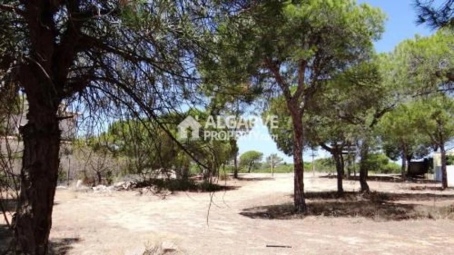 Terreno para Venda em Almancil Foto 4