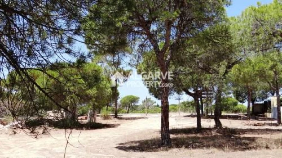 Terreno para Venda em Almancil Foto 5
