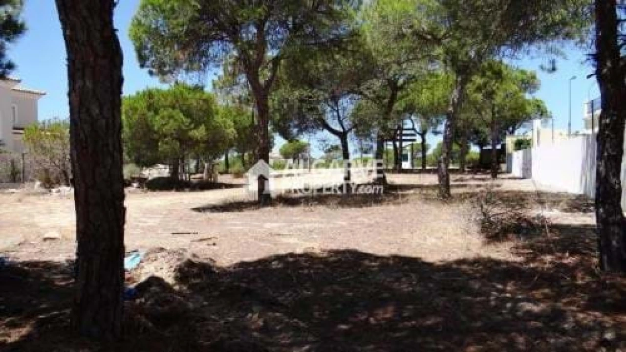 Terreno para Venda em Almancil Foto 1