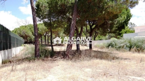 Terreno para Venda em Almancil