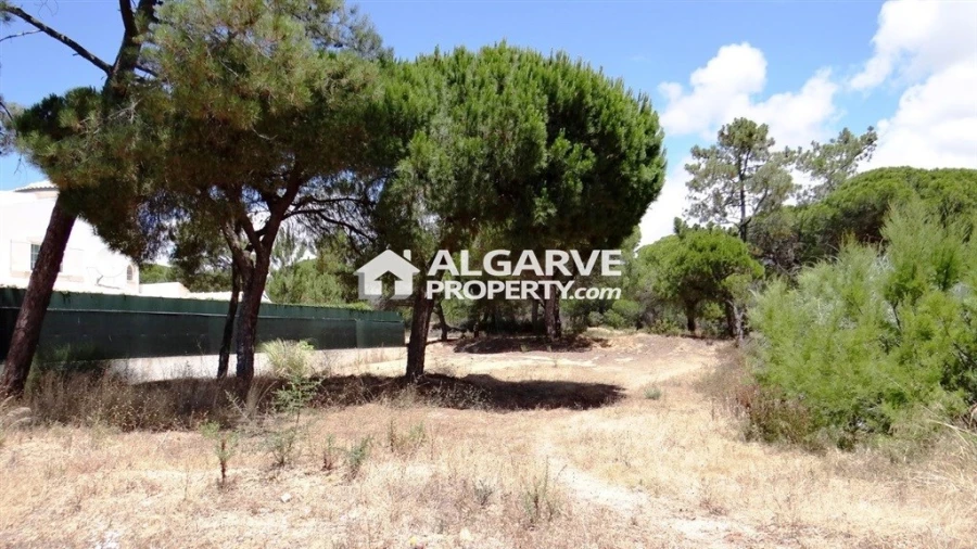 Terreno para Venda em Almancil