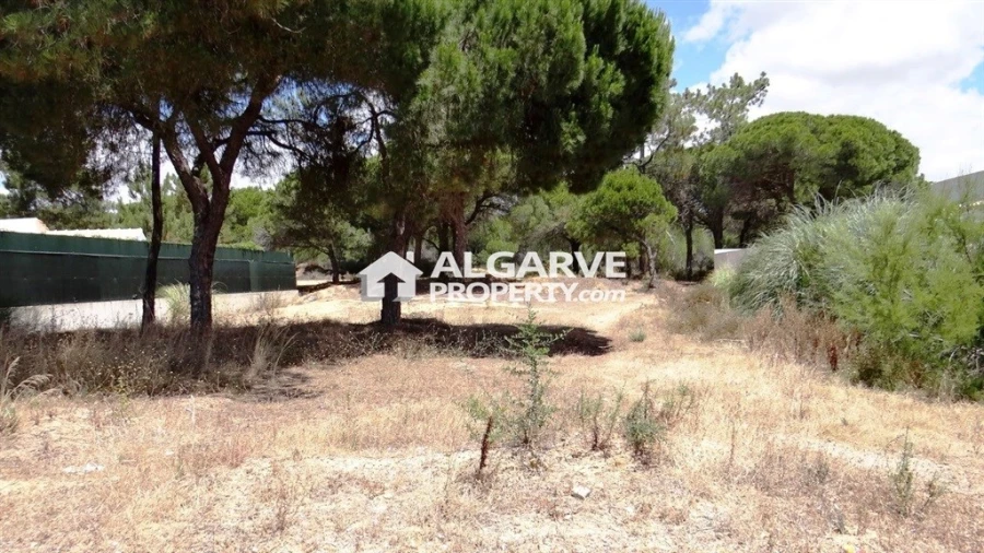Terreno para Venda em Almancil Foto 2
