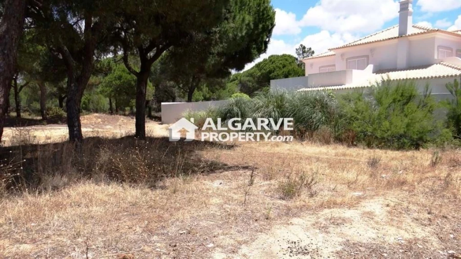 Terreno para Venda em Almancil Foto 6
