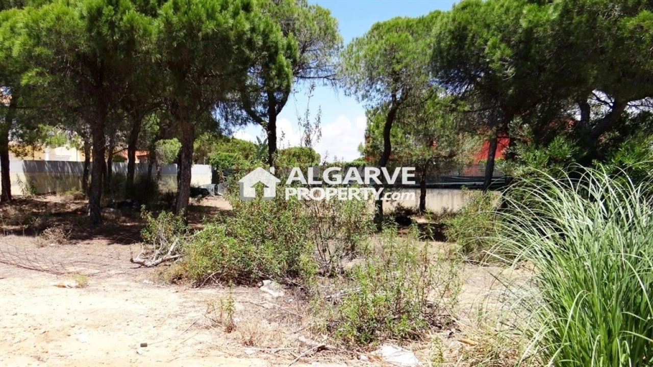 Terreno para Venda em Almancil Foto 4