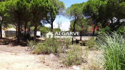 Terreno para Venda em Almancil