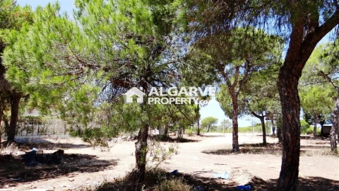 Terreno para Venda em Almancil