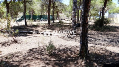Terreno para Venda em Almancil