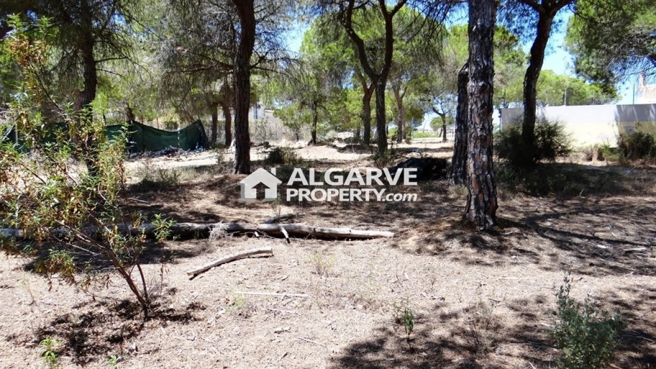 Terreno para Venda em Almancil Foto 6