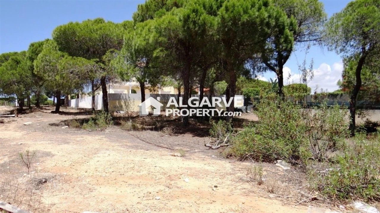 Terreno para Venda em Almancil Foto 3