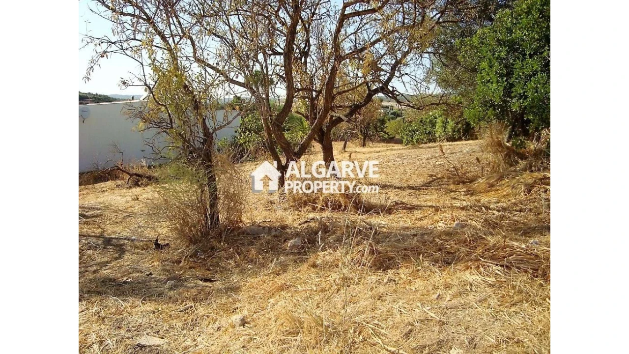 Terreno para Venda em Loule (São Clemente) Foto 9
