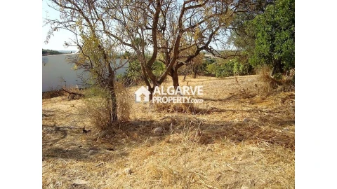 Terreno para Venda em Loule (São Clemente)