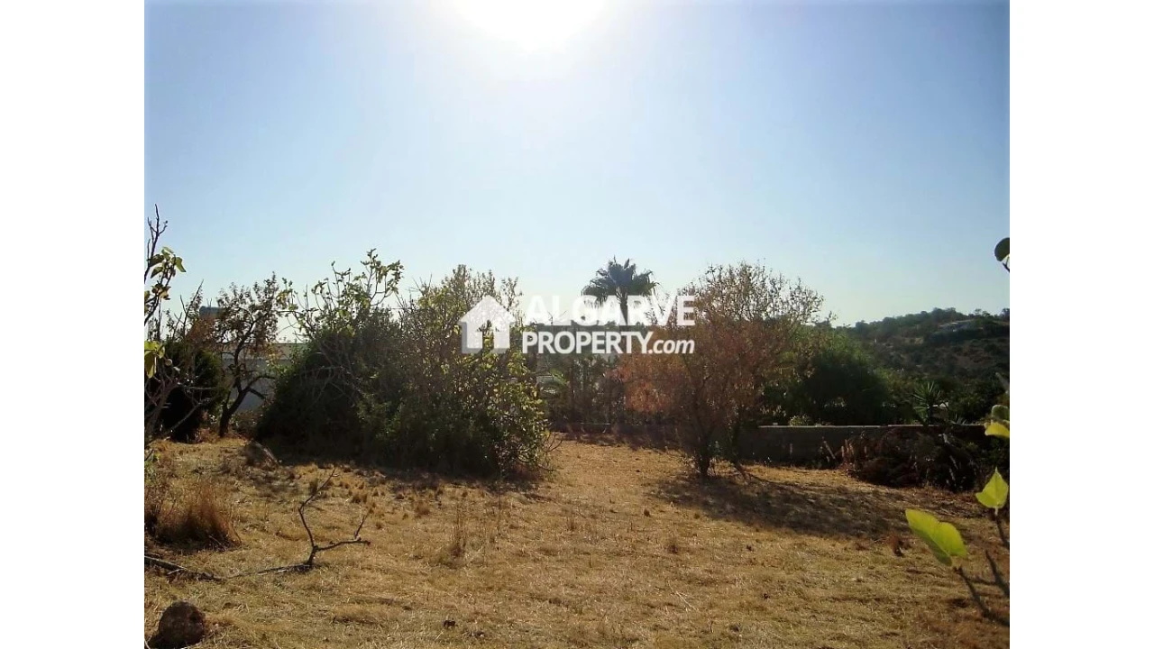 Terreno para Venda em Loule (São Clemente) Foto 8