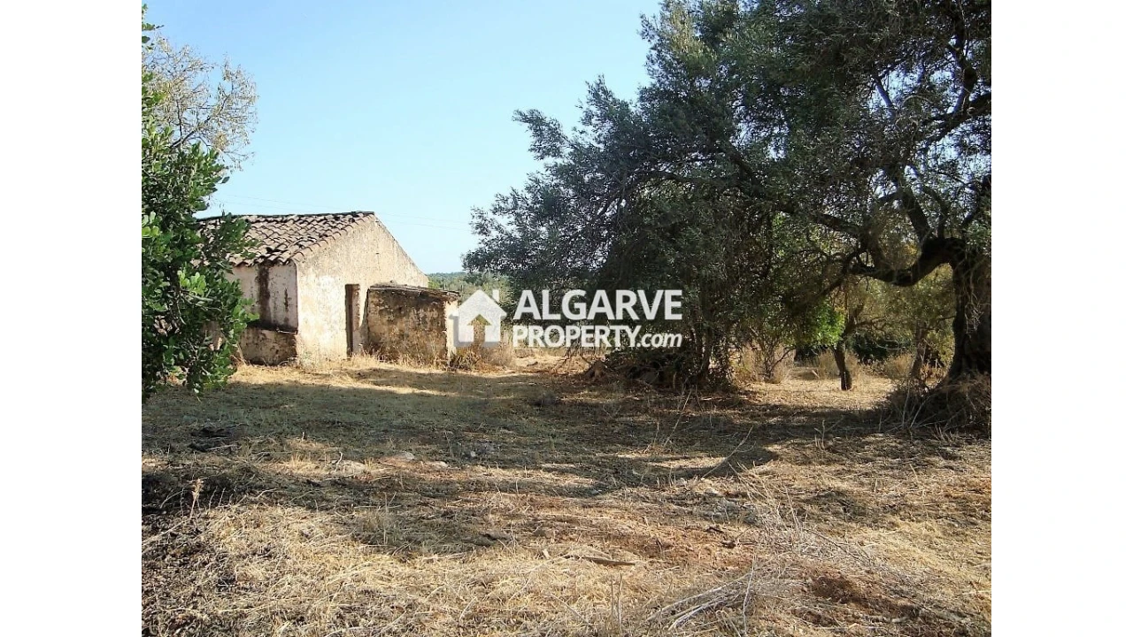 Terreno para Venda em Loule (São Clemente) Foto 12