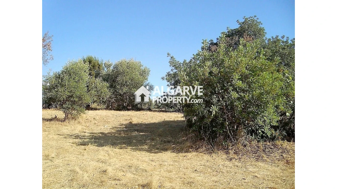Terreno para Venda em Loule (São Clemente) Foto 5