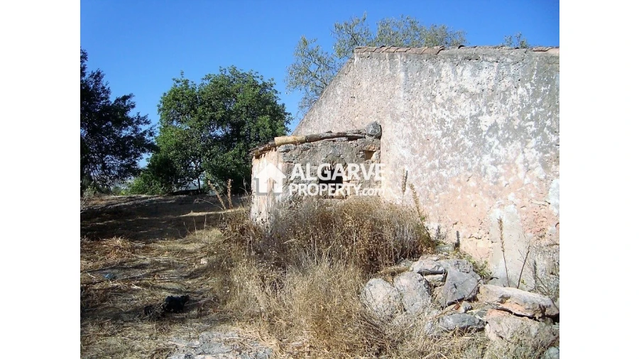 Terreno para Venda em Loule (São Clemente) Foto 19