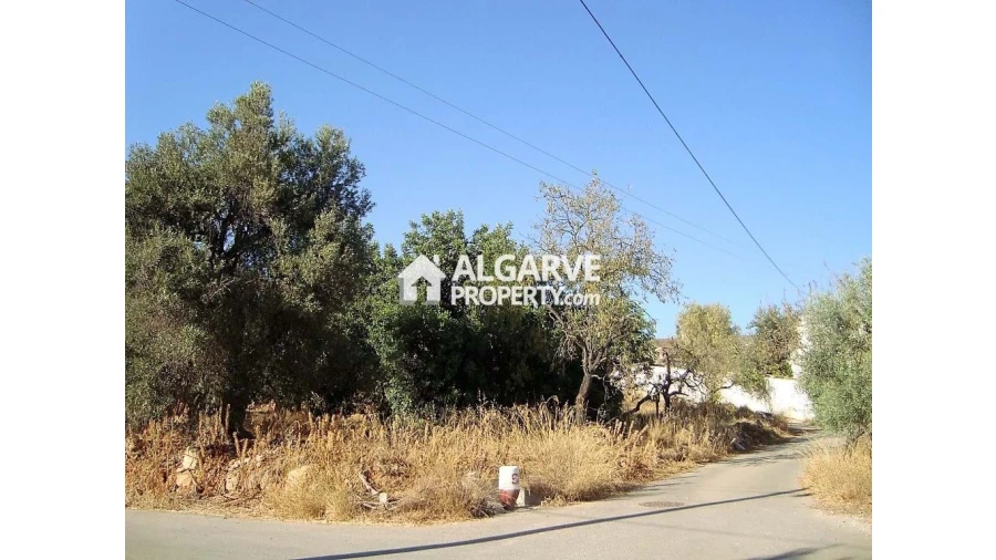 Terreno para Venda em Loule (São Clemente) Foto 21
