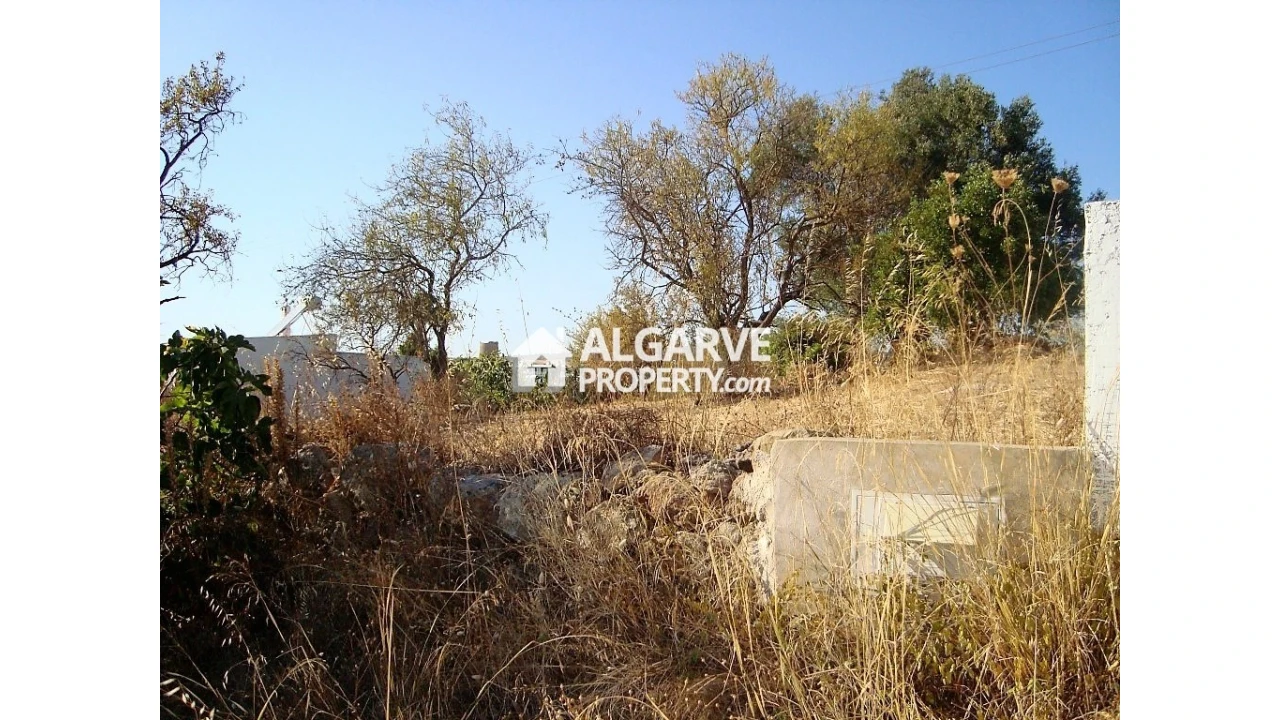 Terreno para Venda em Loule (São Clemente) Foto 10