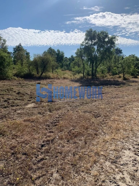 Terreno para Venda em Quinta do Anjo