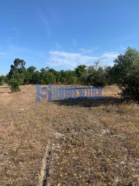 Terreno para Venda em Quinta do Anjo