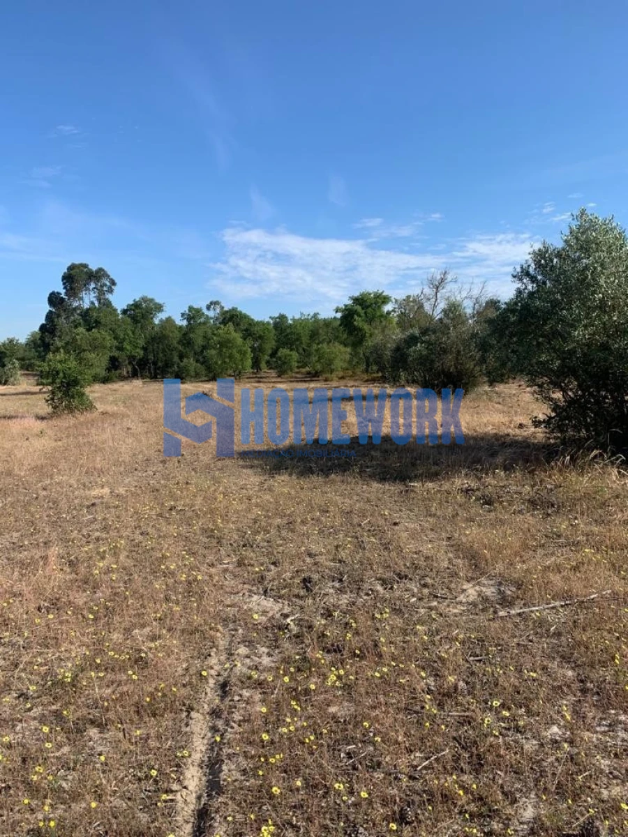 Terreno para Venda em Quinta do Anjo Foto 4