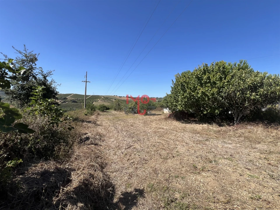 Terreno para Venda em Dois Portos e Runa Foto 1