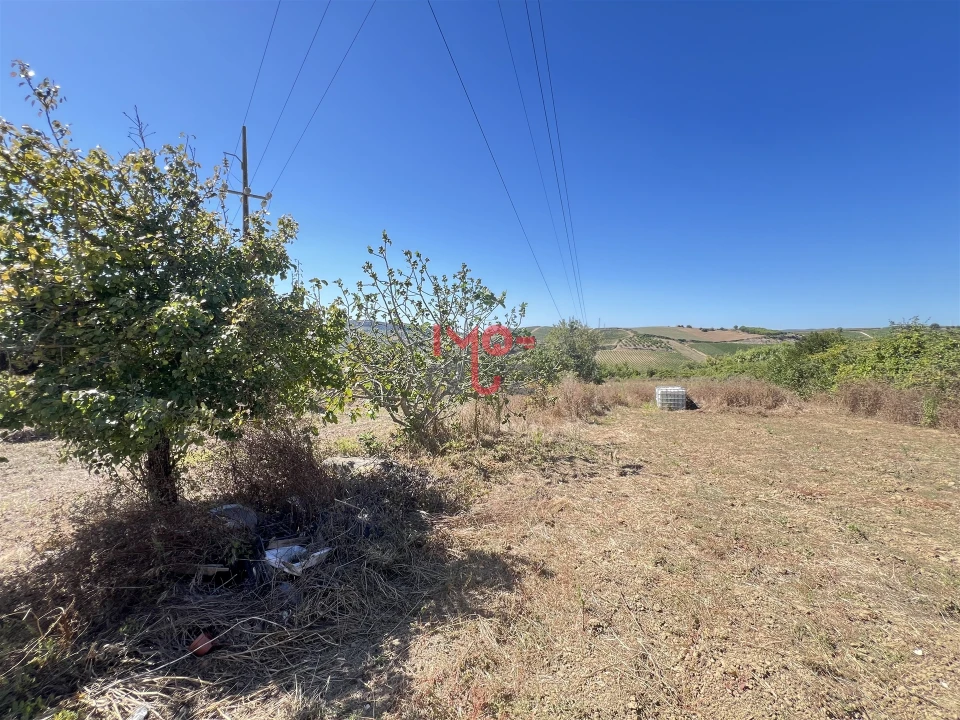 Terreno para Venda em Dois Portos e Runa Foto 6