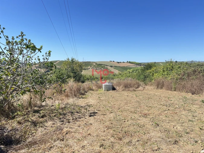 Terreno para Venda em Dois Portos e Runa Foto 5