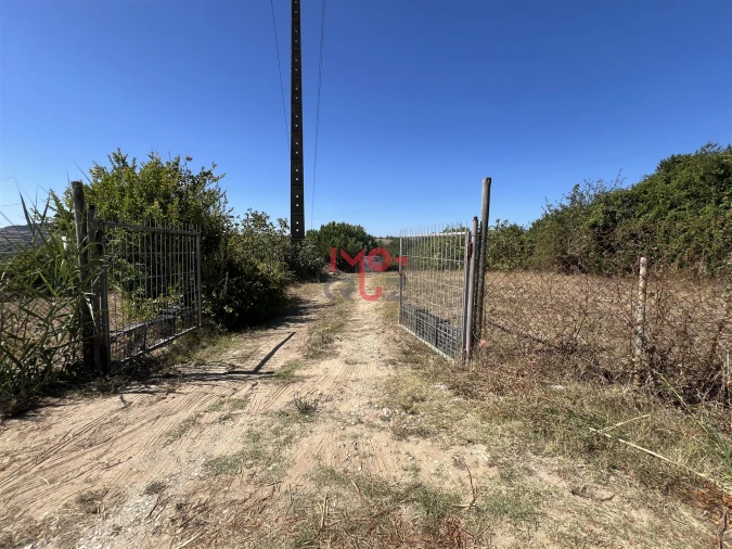 Terreno para Venda em Dois Portos e Runa Foto 9