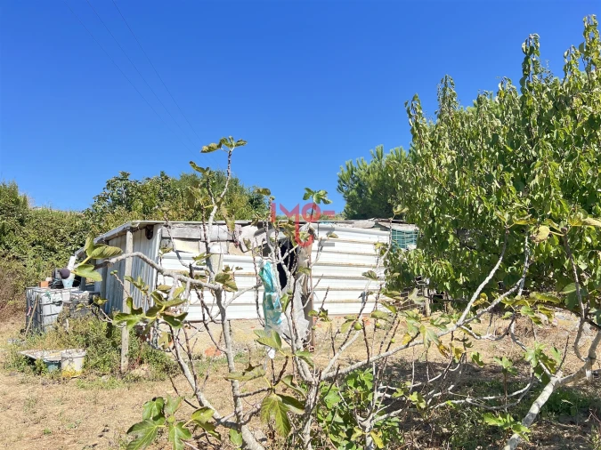 Terreno para Venda em Dois Portos e Runa Foto 7