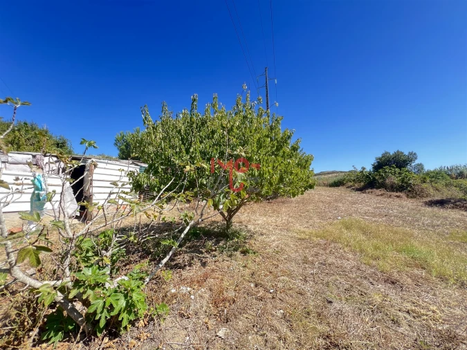 Terreno para Venda em Dois Portos e Runa Foto 8