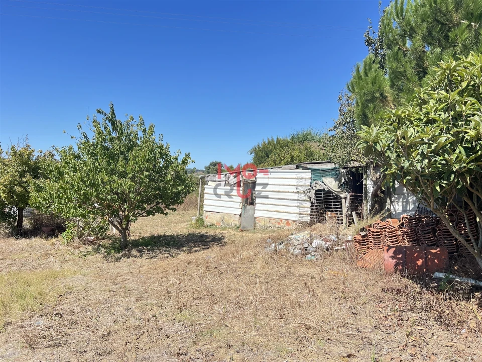 Terreno para Venda em Dois Portos e Runa Foto 4