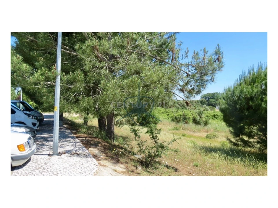 Terreno para Venda em Pegões Foto 4