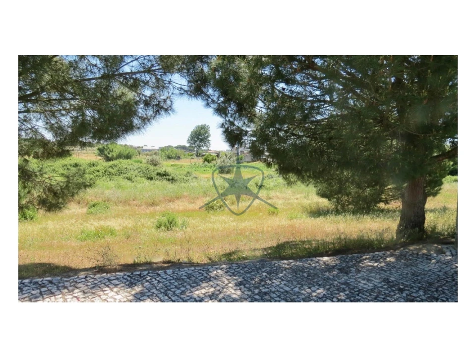 Terreno para Venda em Pegões Foto 3