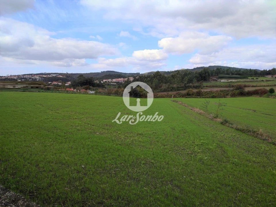 Terreno P/ Prédio para Venda em Ribeirão Foto 3