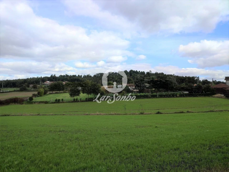 Terreno P/ Prédio para Venda em Ribeirão Foto 4