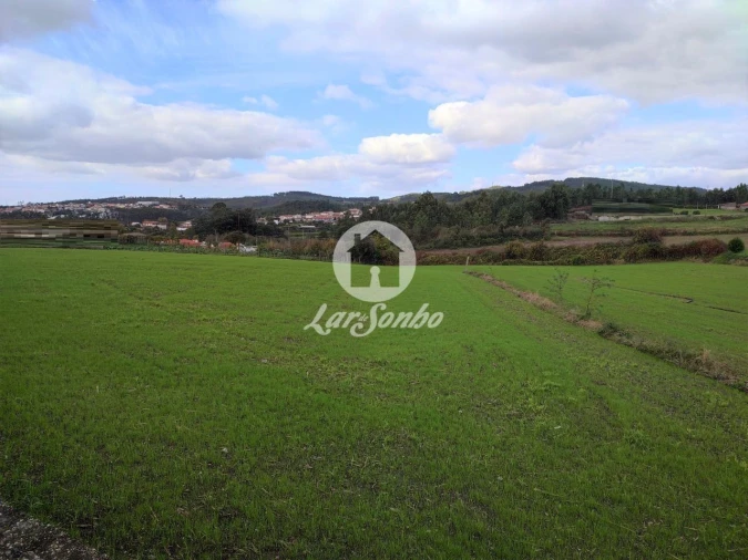 Terreno P/ Prédio para Venda em Ribeirão Foto 3