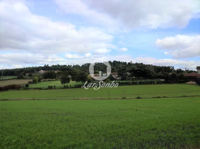 Terreno P/ Prédio para Venda em Ribeirão Foto 4