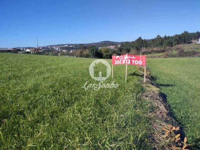 Terreno P/ Prédio para Venda em Ribeirão Foto 2
