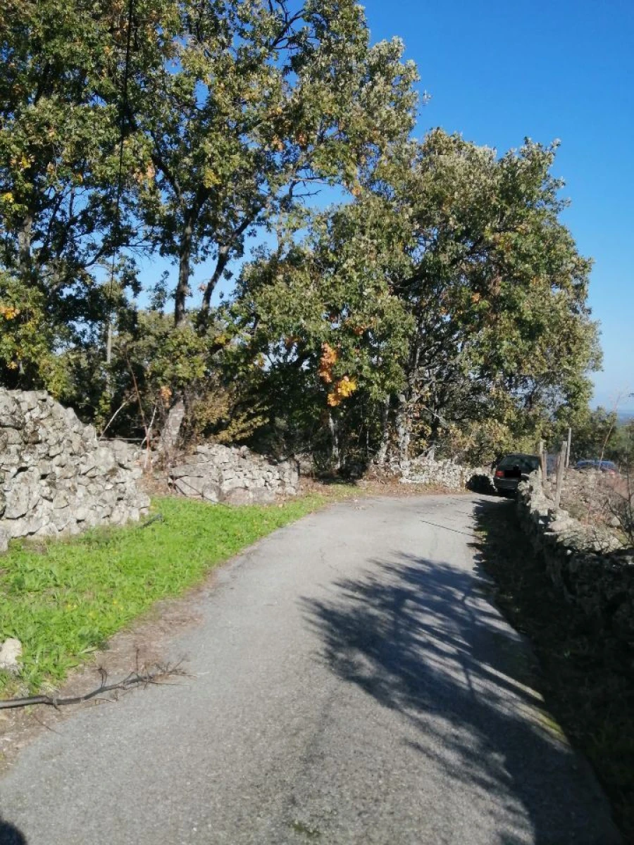 Quinta T0 para Venda em Santo Antonio das Areias Foto 7